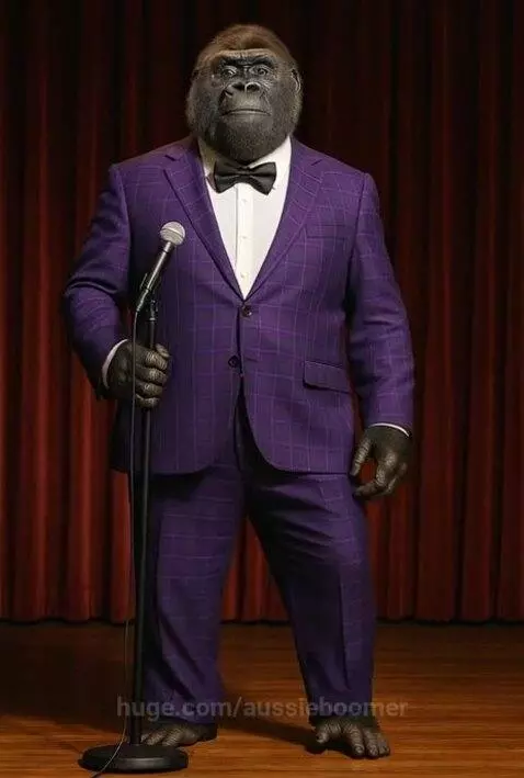 What happens to an illegally parked frog? by aussieboomer