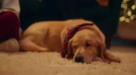 “Togetherness”  Family Time of Year !? by aussieboomer