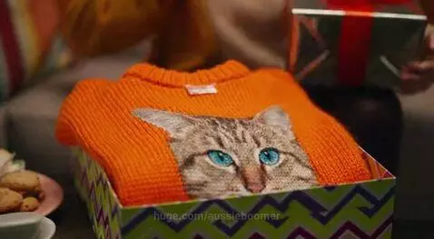 The Gift You Pretend to Like by aussieboomer