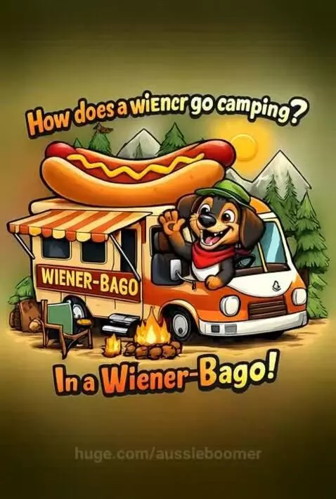 How does a wiener go camping In a Wiener-bago. by aussieboomer