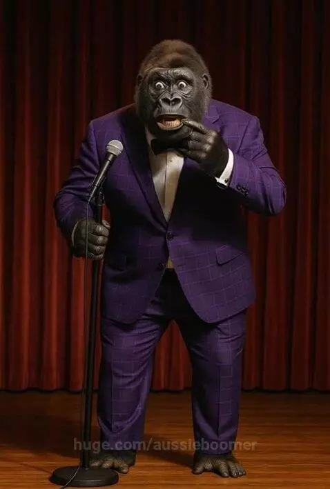 Why did the male chicken wear underwear on its head
Because ... by aussieboomer