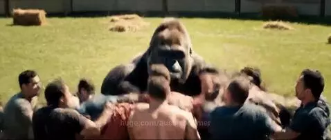 aussieboomer post preview