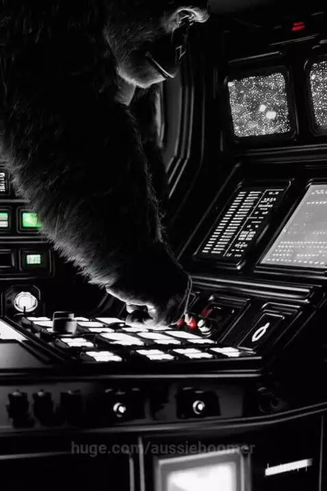 Gorilla in Space - V1 by aussieboomer
