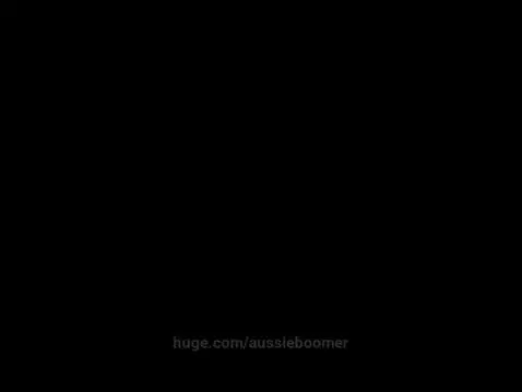 Shiba to the moon by aussieboomer