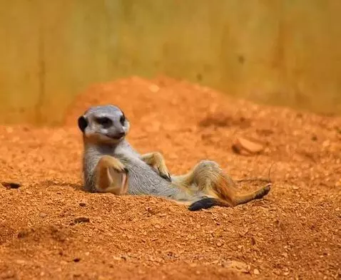 It's just that kind of a day! : even the ants are ignoring m... by aussieboomer