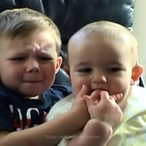 Charlie Bit My Finger : love this meme : image to video the ... by aussieboomer