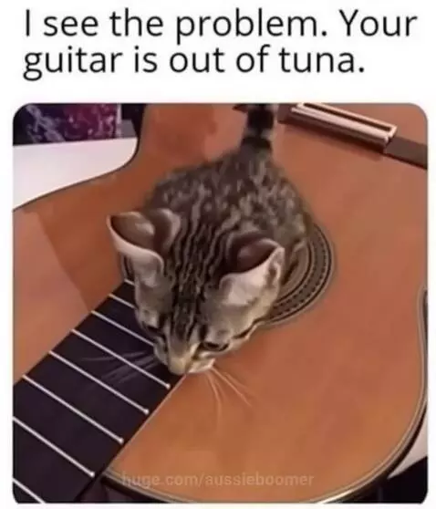 I see the problem , Your guitar is out of tuna by aussieboomer