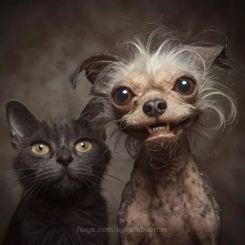 We all have one of them Friends by aussieboomer