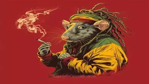 I’m just a rat with wings, and I don’t believe in personal s... by aussieboomer