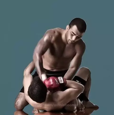MMA  Fight - Basic quality getting better by aussieboomer