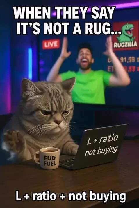 Grumpy Cat : Fud Fuel  - lets Go - meme time by aussieboomer