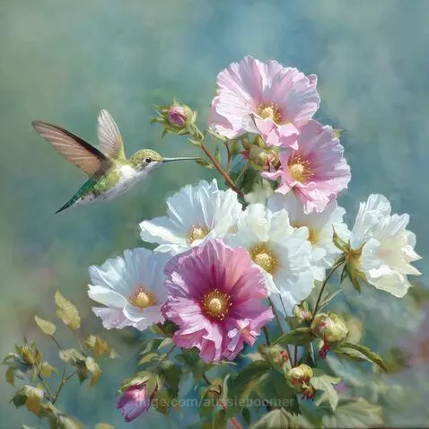 Wonder of Nature -  watercolour image to video by aussieboomer