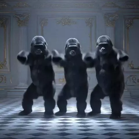 Moto Dance By our favourite Gorilla Trio by aussieboomer