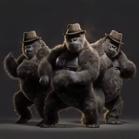 Swing Swing Jiggle Jiggle - Grolla Trio at it again by aussieboomer