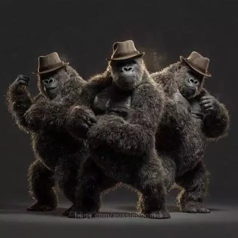 video poster