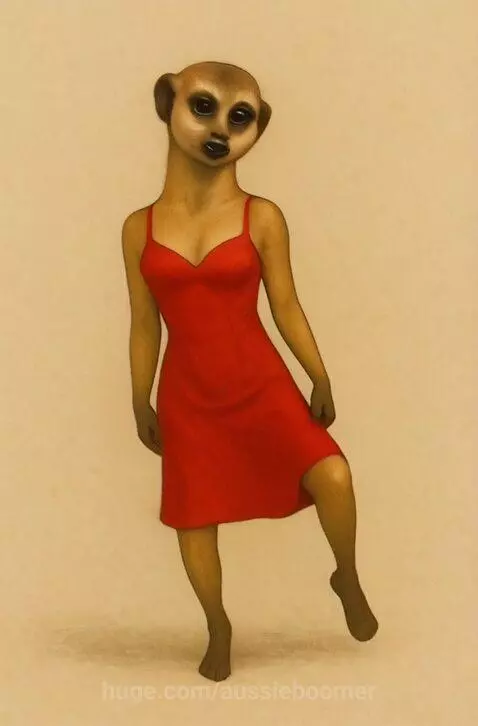 My sexy meerkat Dancer by aussieboomer