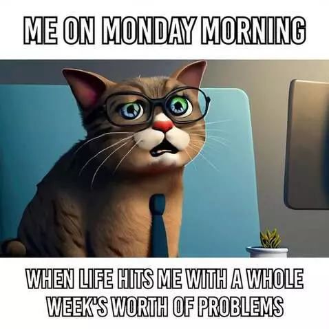 me on Monday morning when? by aussieboomer