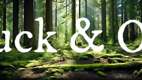 video poster