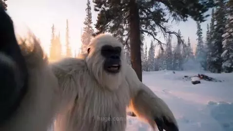 #Yeti scaring away campers! by car