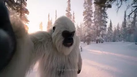 video poster