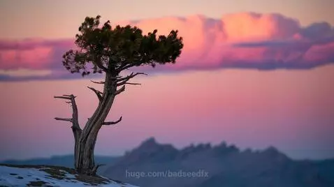 Timelapse Test by badseedfx