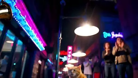 video poster