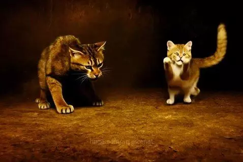 Video by arturcenat