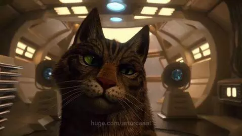 Cat by arturcenat
