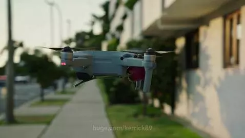 Drone with flower by kerrick89