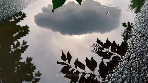 video poster