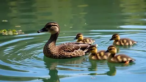 Duck family in the lake by kerrick89