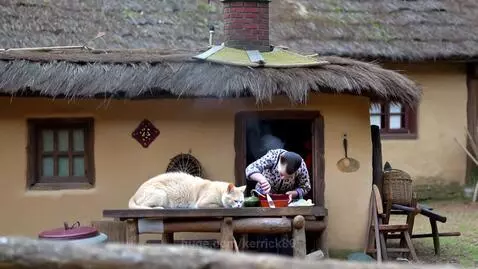 video poster