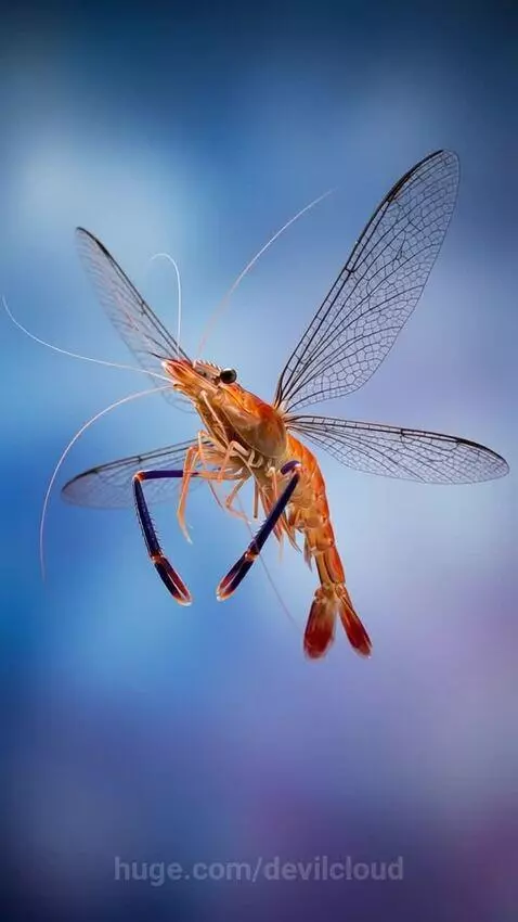 The Mosquitos Are As Big As Shrimp! With my song Moonberry T... by devilcloud