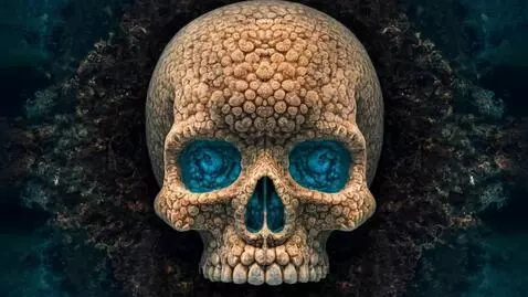 Coral Skull Reef by devilcloud