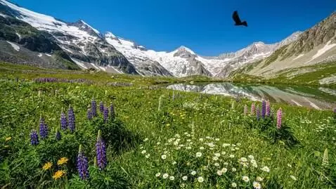 A day in the mountains by sprosy