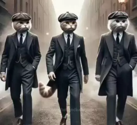 video poster