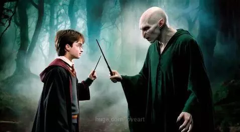 Harry Potter and Voldemort by loveart
