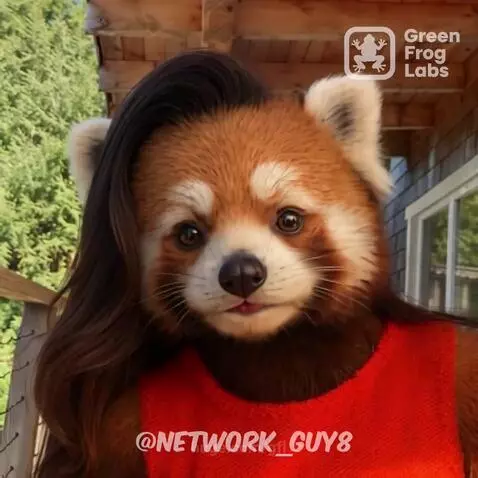 GFL: Nicole Shanahan Hybrid Series by NetworkGuy8 by gfl