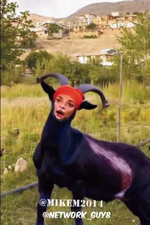 GFL Omar da Goat by MikeM and NetworkGuy8 by gfl