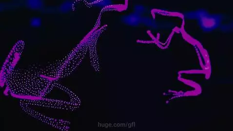 GFL Neons by CMMM by gfl