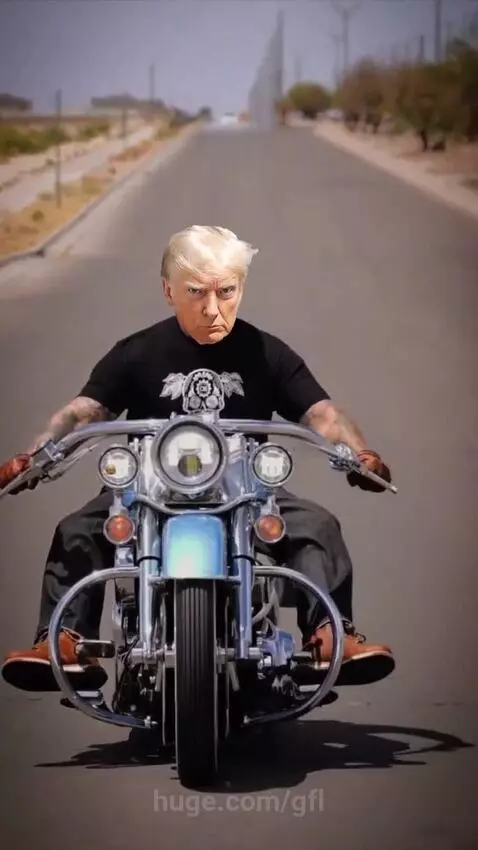 GFL Trump on Harley by HuWhite by gfl