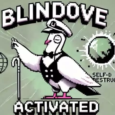 Blindove studio activated by blindove