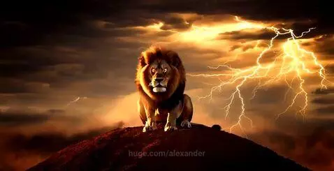 Video by alexander