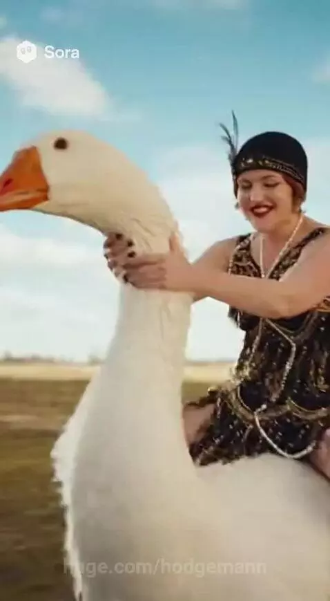 video poster