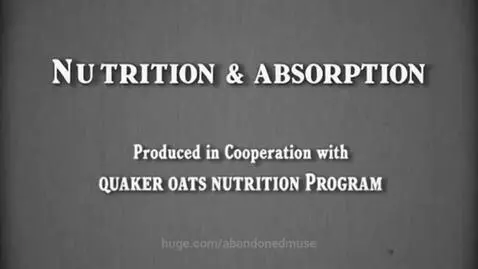 SYSTEM PT 1 with SocialSight by abandonedmuse