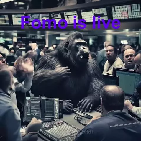 When traders learn about Fomo by lonewolfd1