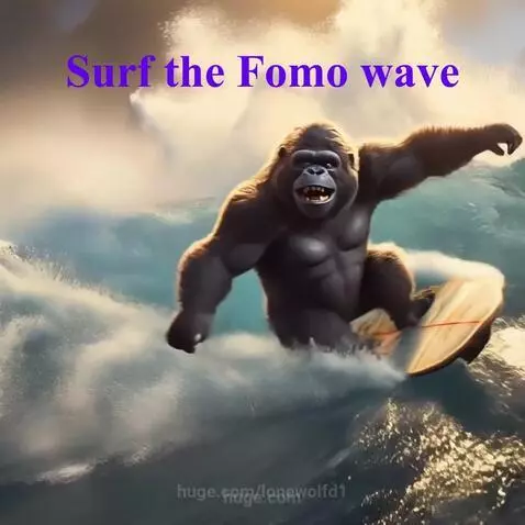 Surfing the waves, like people buying the fomo dips by lonewolfd1