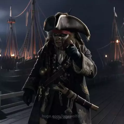 A pirate's secret by lonewolfd1
