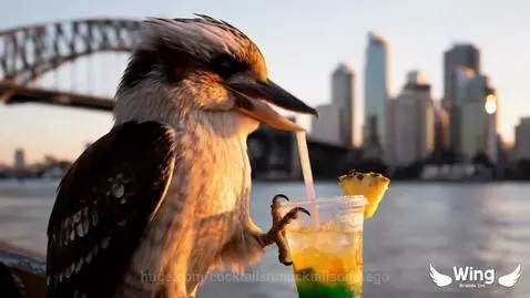 More kick than a Kangaroo by cocktailsnmocktailsonthego