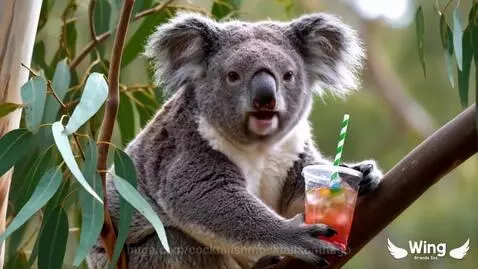 Happier than a pig in a billabong by cocktailsnmocktailsonthego